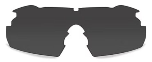 WX Vapor Grey/Clear/Light Rust Tan Frame Protective Eyewear