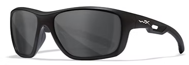 WX Aspect Protective Eyewear (Grey Lenses / Matte Black Frame)