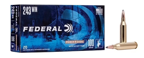 FEDERAL Power-Shock Rifle 243 Win 100 GR (20)