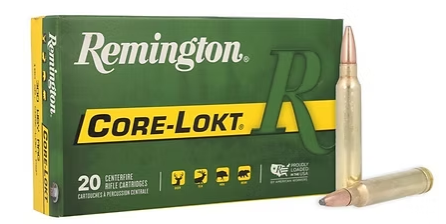 Remington Core-Lokt 300 Win Magnum 180 GR (20)