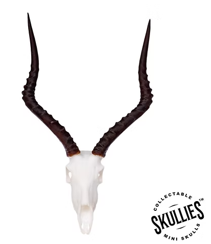 Skullies Miniature Resin Replica - Impala Skull