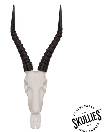 Skullies Miniature Resin Replica - Blesbok Skull