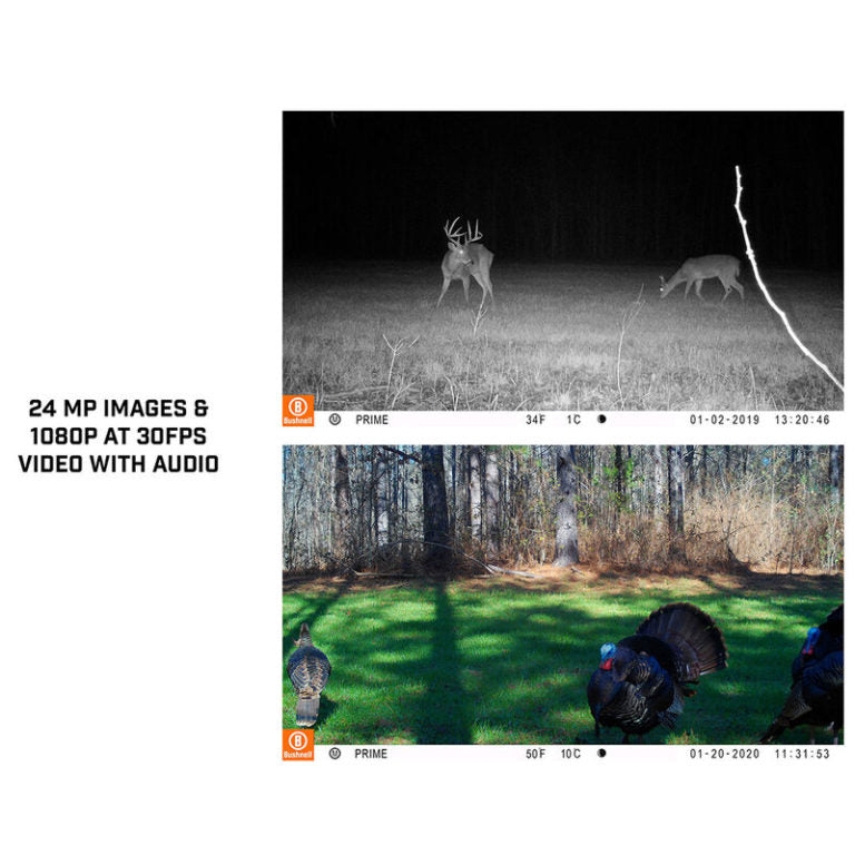 Bushnell 24MP Prime Low Glow Trail Camera