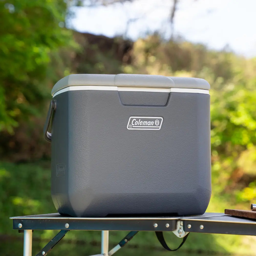 COLEMAN DAINTREE PERSONAL HARD COOLER 28L