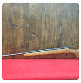 BSA .22LR