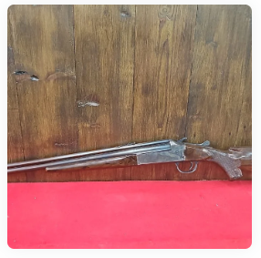 Stevens 22/410